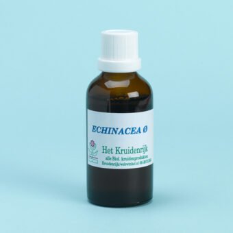 Echinacea purpurea = Zonnehoed rode(Biol)