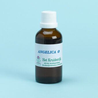 Angelica = Engelwortel (Biol)