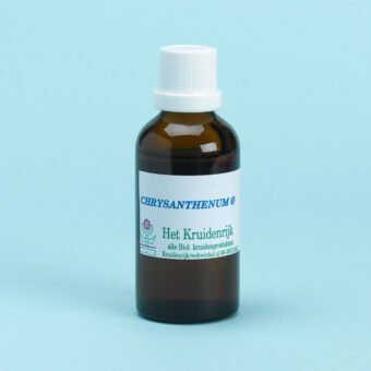 Chrysanthemum = Moederkruid(Biol)