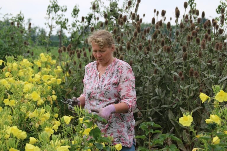 Andrea Bleeker, docent 